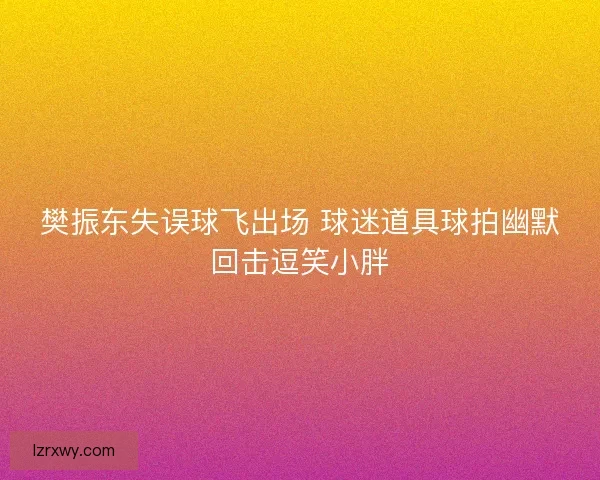 樊振东失误球飞出场 球迷道具球拍幽默回击逗笑小胖